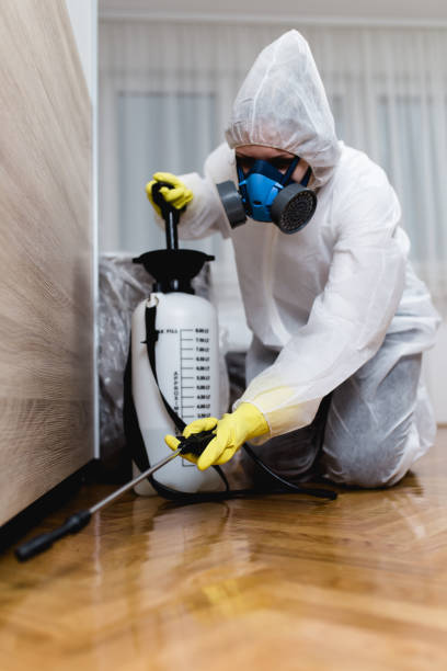 Reliable Burtonsville, MD Pest Control Solutions